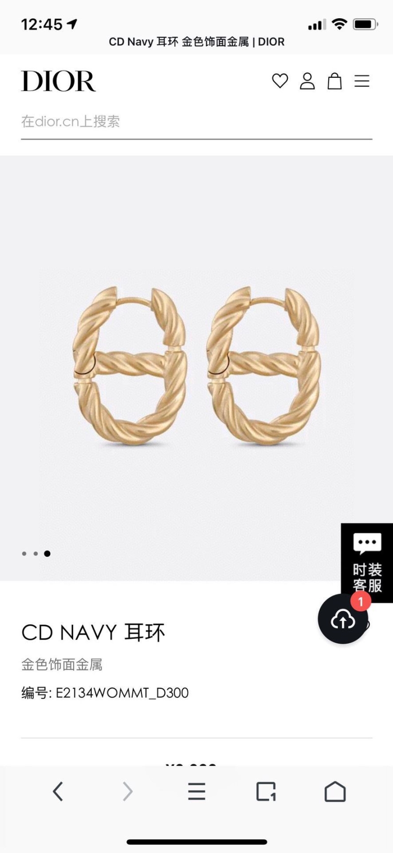 Christian Dior Earrings